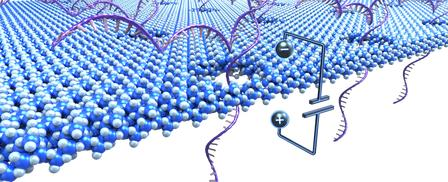 基于固态 nanopore 的单分子生物标志物检测系统开发及在肿瘤早筛中的应用